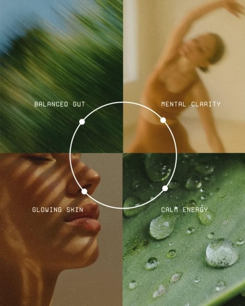 A high-performance wellness ad utilizing a four-panel grid to connect distinct product benefits like gut health, mental clarity, skin health, and energy.